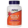 CHOLINE & INOSITOL 100CAPS