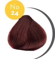 COLOR ERBE 24 ΚΟΚΚΙΝΟ-ΚΑΦΕ 135ML