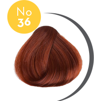 COLOR ERBE 36 ΞΑΝΘΟΚΟΚΚΙΝΟ 135ML