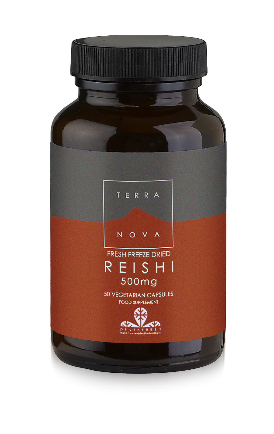 REISHI 500MG